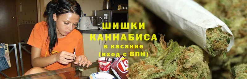 где можно купить   Новосиль  Бошки марихуана OG Kush 